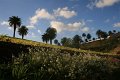 IMG_3727