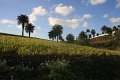 IMG_3729