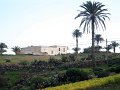 IMG_3739