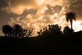 IMG_3741
