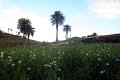 IMG_3744